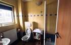 Casa de vacanta cu teren 2000mp Valea Avrigului - 2