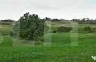 Teren intravilan ,4039 mp,in cartierul Borhanci - 5