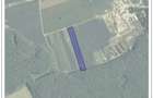 Teren la padurea Snagov - 1