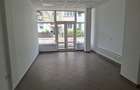 Spatiu comercial Pictor Aman - 2