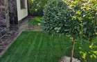 Fundulea vila individuala P+1 cu teren 1000 mp - 2