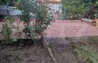 Saptiu comercial de vanzare, 700 mp, zona Unirii - 2