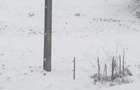 Teren în Pârteștii de Jos - 3