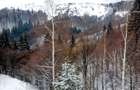 teren intravilan in zona Magura Bran - 12