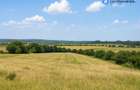 Teren intravilan 10 ha | Butimanu, Dâmbovița | Zona DN1A – A0 Nord