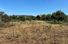 Casa de vanzare + teren 1.080 mp Miercurea Sibiului - 11