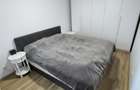 Apartament cu 2 camere decomandat, mobilat în Tineretului - 8