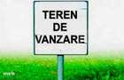 Teren extravilan ,20.000 mp Remetea Mare-Ianova - 1