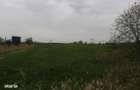 Teren industrial Arad zona CET
