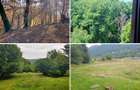 Teren 6000mp cu Lac | Valea Uzului | Zona Turistica de Top | Utilitati in dezvoltare - 1