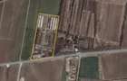 Oportunitate de Investi?ie: Teren Intravilan 6.59 Ha, Deschidere 200m la DJ 226 Navodari - Lumina - 1