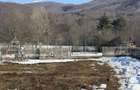 Teren intravilan 4521mp langa padure-valea Doftanei -Calea Brasovului - 13