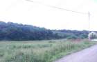 Teren de 2500 mp, în Sâncraiu de Mureș - 2