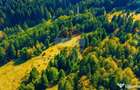 Teren intravilan | Timisul De jos | Canionul 7 Scari | Oportunitate! - Timisu de Jos (Brasov)