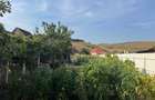 Casa cu gradina de vanzare in Viisoara - 6