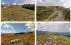 teren intravilan Padina Peștera 628mp Cocora-Babele zona alpină înaltă - 1