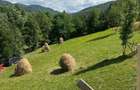 Vila 5 Camere Valea Doftanei Prahova Super View