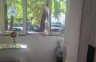 Apartament semidecomandat în Tei - 8