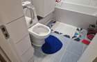 Apartament 2 camere, Crangasi, etaj 1 Iau in chirie 1 doamna. - 10