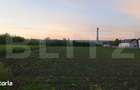 Parcela 5 ari de vanzare, pretabil loc pentru casa, Lisaura - 2
