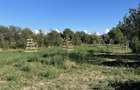 Casa si teren intravilan 4.850 mp Polovragi, Gorj