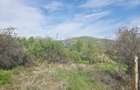 Teren 1,000mp Piatra-Neamt / Zona Fermelor - 1