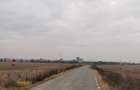Teren Exclusiv 4.550 mp Ciolpani - Zona Narrative / Padurea Snagov - 3