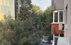 Apartament 3 Camere + Garaj la Parter - 6