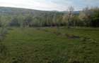 Teren intravilan de vanzare - 6