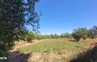 Casa cu 3 camere | Teren 4.741 mp | Centru Lipau