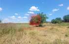 Teren Intravilan Cumpana 400 mp Zona Excelenta cu Strada Asfaltata, la - 3