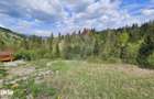 Teren 4048mp Campulung Moldovenesc, Strada Izvorul Alb, Suceava - 12