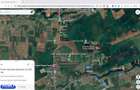 Teren intravilan 26.300 mp Saftica Balotesti - PUZ in lucru