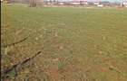 De vanzare urgent & negociabil teren 2500m in Ghermanesti Ilfov - 1