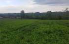 vand teren intravilan - 2