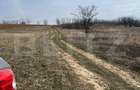 Teren intravilan de vanzare, 9783 mp, Paleu zona Iacului - 1