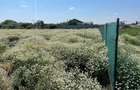 Vand teren intravilan construibil Crevedia-Darza STEJARULUI - 4