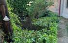 Teren de vanzare Baneasa Dobrogeanu Gherea Intrarea Ruginita 610 mp zona exclusivista