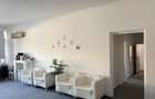 MÂNTULEASA | VILĂ EXCLUSIVISTĂ ÎN CENTRUL BUCUREȘTIULUI – 1.100.000 € - 44