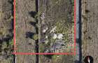 TEREN DE VANZARE 4.000 m2 | Strada Oxigenului