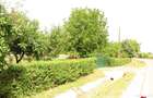 Casa cu teren 4,3 hectare in Livada ( ID 22148) - 1