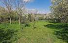 Vand teren intravilan - 3