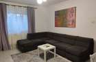 Apartament cu 3 camere decomandat în Vitan - 13