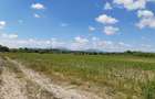 Teren agricol  Podu Oltului la limita UAT Harman si UAT Prejmer 2 euro pe mp - 4