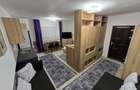 Garsoniera / studio de inchiriat in casa/vila zona case Banat - 8
