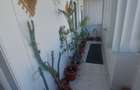Birou sau apartament de locuitcu trei camere ultracentral cu un view de invidiat