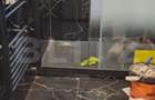 Apartament 2 camere, 45 mp, parter, renovat complet, Fagar - Brasov (Brasov)