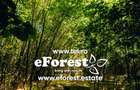 Profită acum de oferta de Paste!!! eForest, terenuri de vanzare, zona verde. - 4