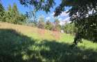 Teren intravilan 1825 mp de vanzare in Valea Doftanei
