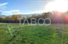 Teren de vanzare 17.000 mp in vecinatatea padurii Dumbrava - 2